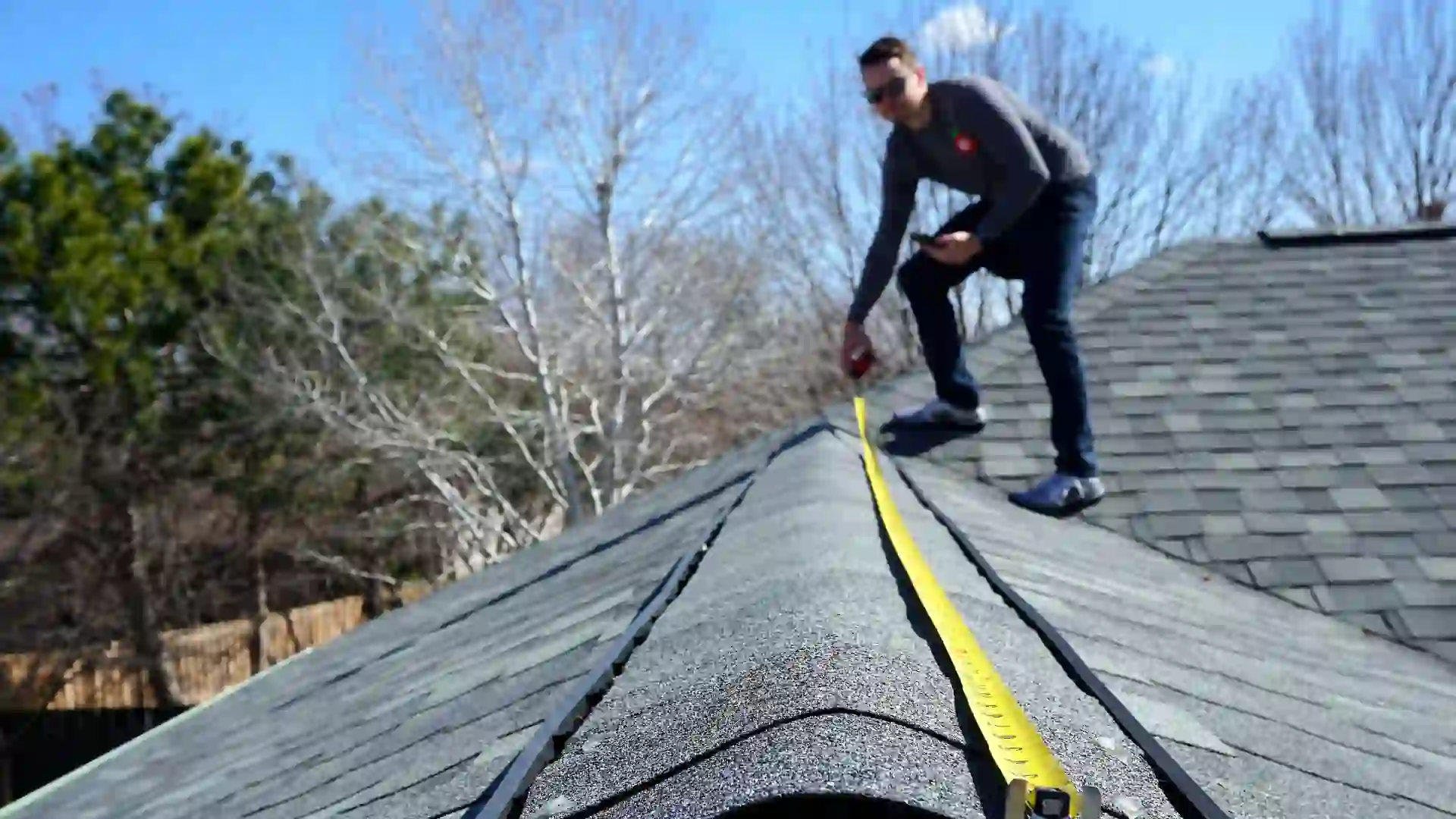shingle roof