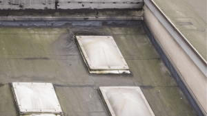 Moisture in Miami Roofs: How to Identify and Prevent Costly Damage