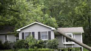 Emergency Roof Repairs in Miami: Costs, Tips & Fast Solutions