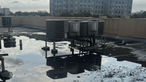Flat roof repair in Miami: Essential maintenance tips to prevent costly damage