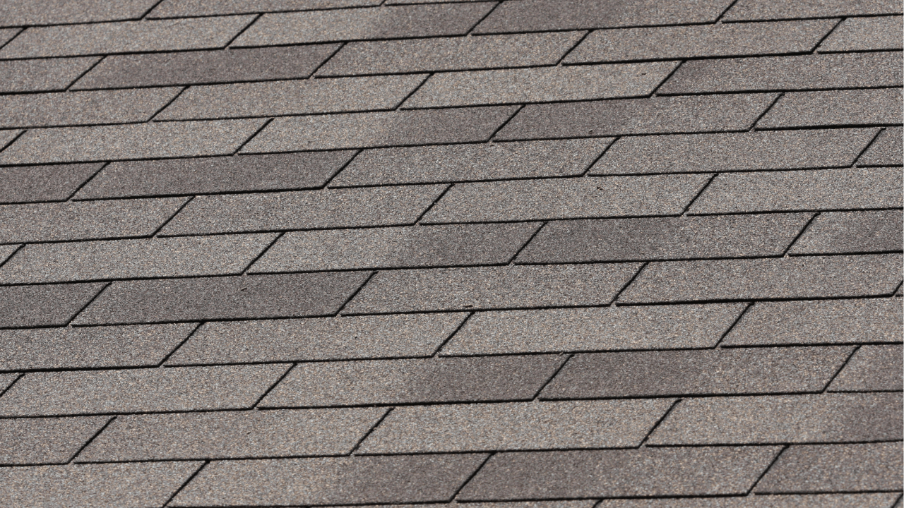 Dark streaks on your Miami roof algae solutions & prevention guide