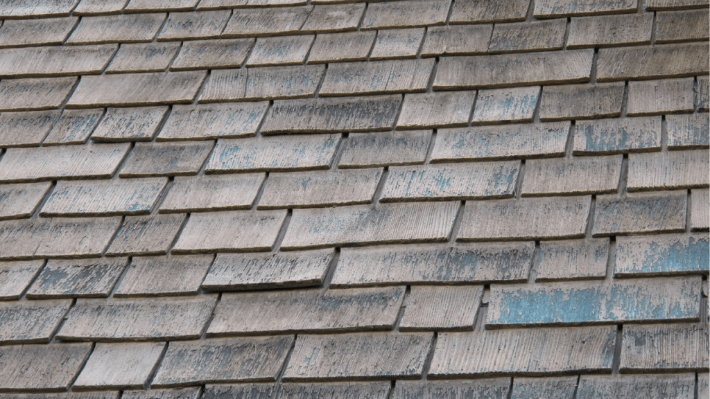 Discoloration of asphalt shingles in Miami: Causes, solutions, and how to protect your roof