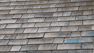 Discoloration of asphalt shingles in Miami: Causes, solutions, and how to protect your roof