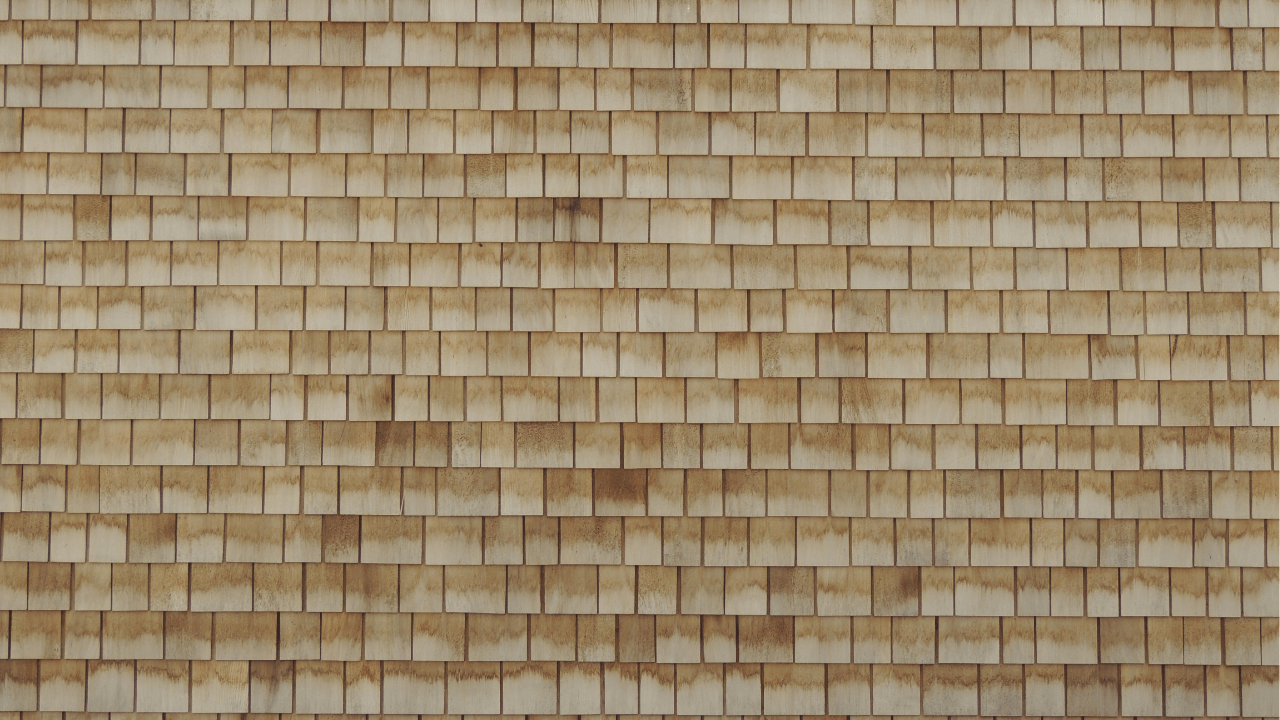 Discoloration of asphalt shingles in Miami: Causes, solutions, and how to protect your roof