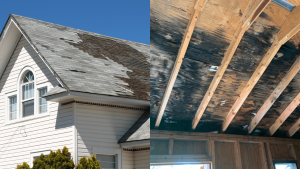 Mold on your roof: Causes, prevention, and specific solutions for Miami homes