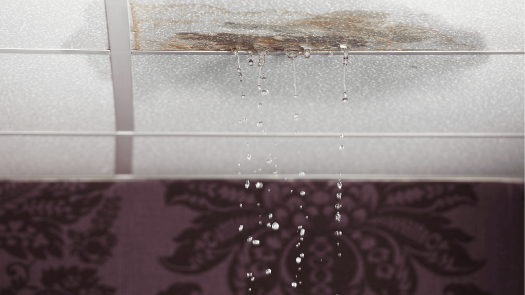 Roof leaks: Common causes and how to detect them in time in Miami