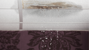 Roof leaks: Common causes and how to detect them in time in Miami