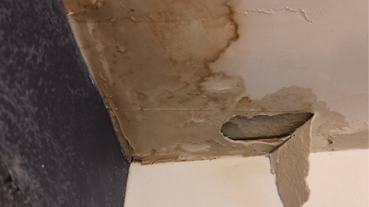 Roof leaks Common causes and how to detect them in time in Miami